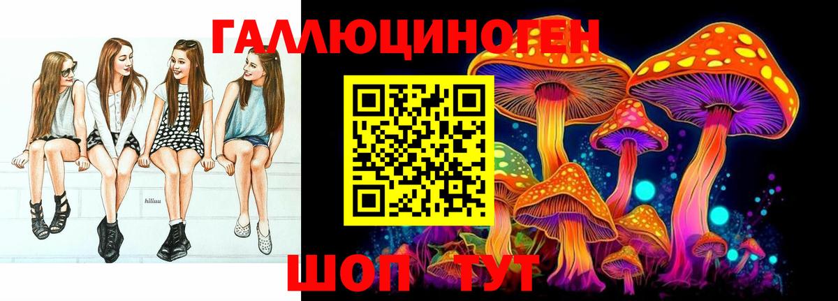 Псилоцибиновые грибы Psilocybe Назарово